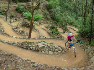 Derby trails close doors in response to COVID-19 restrictions